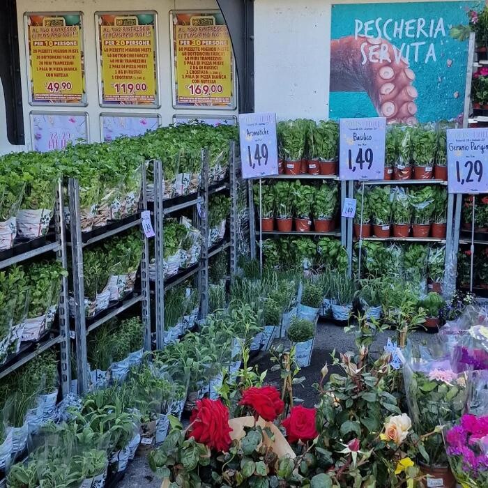 Images Todis - Supermercato (Roma- Via Emilio Teza)