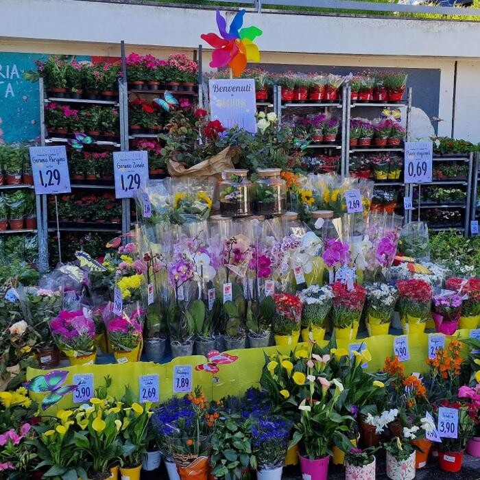 Images Todis - Supermercato (Roma- Via Emilio Teza)