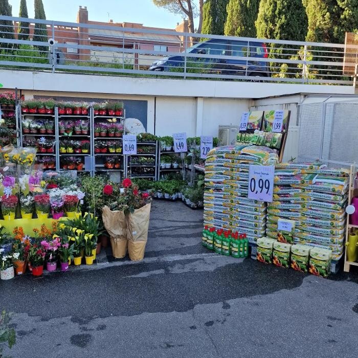 Images Todis - Supermercato (Roma- Via Emilio Teza)
