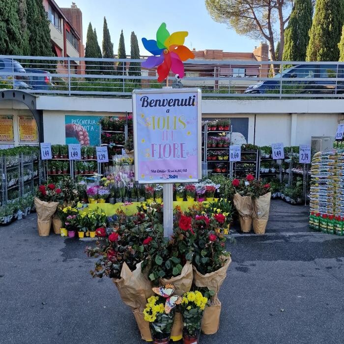 Images Todis - Supermercato (Roma- Via Emilio Teza)