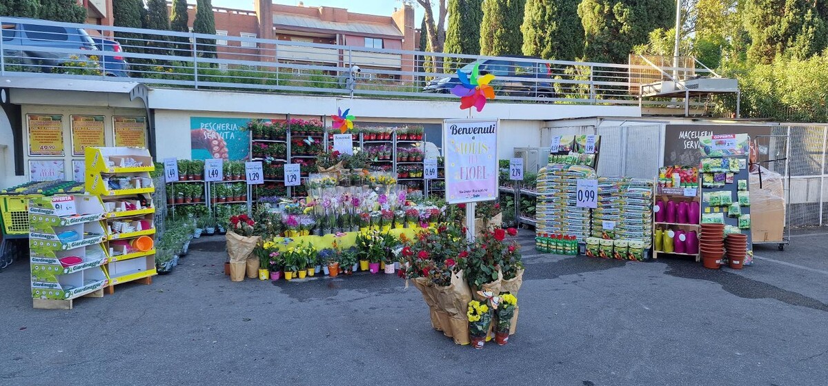 Images Todis - Supermercato (Roma- Via Emilio Teza)
