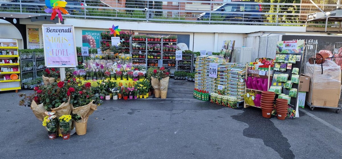 Images Todis - Supermercato (Roma- Via Emilio Teza)