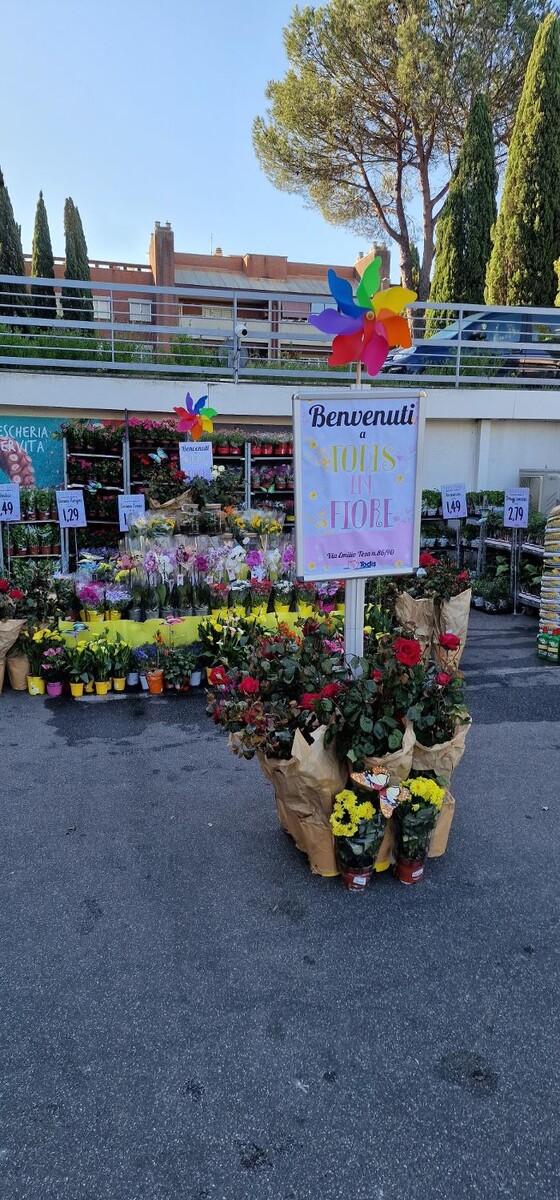 Images Todis - Supermercato (Roma- Via Emilio Teza)