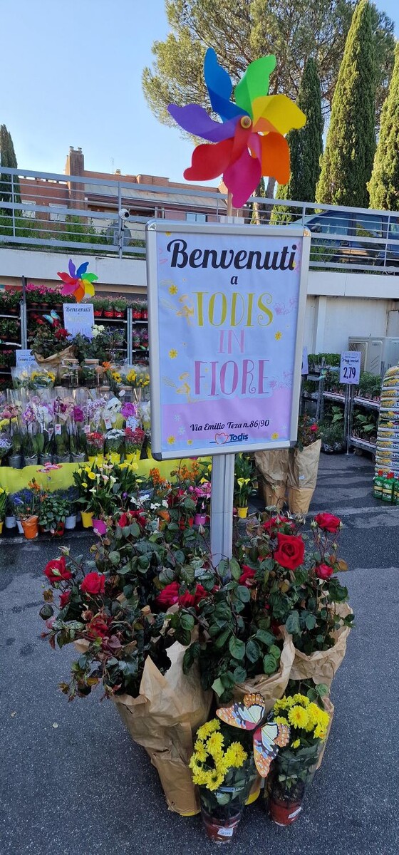 Images Todis - Supermercato (Roma- Via Emilio Teza)