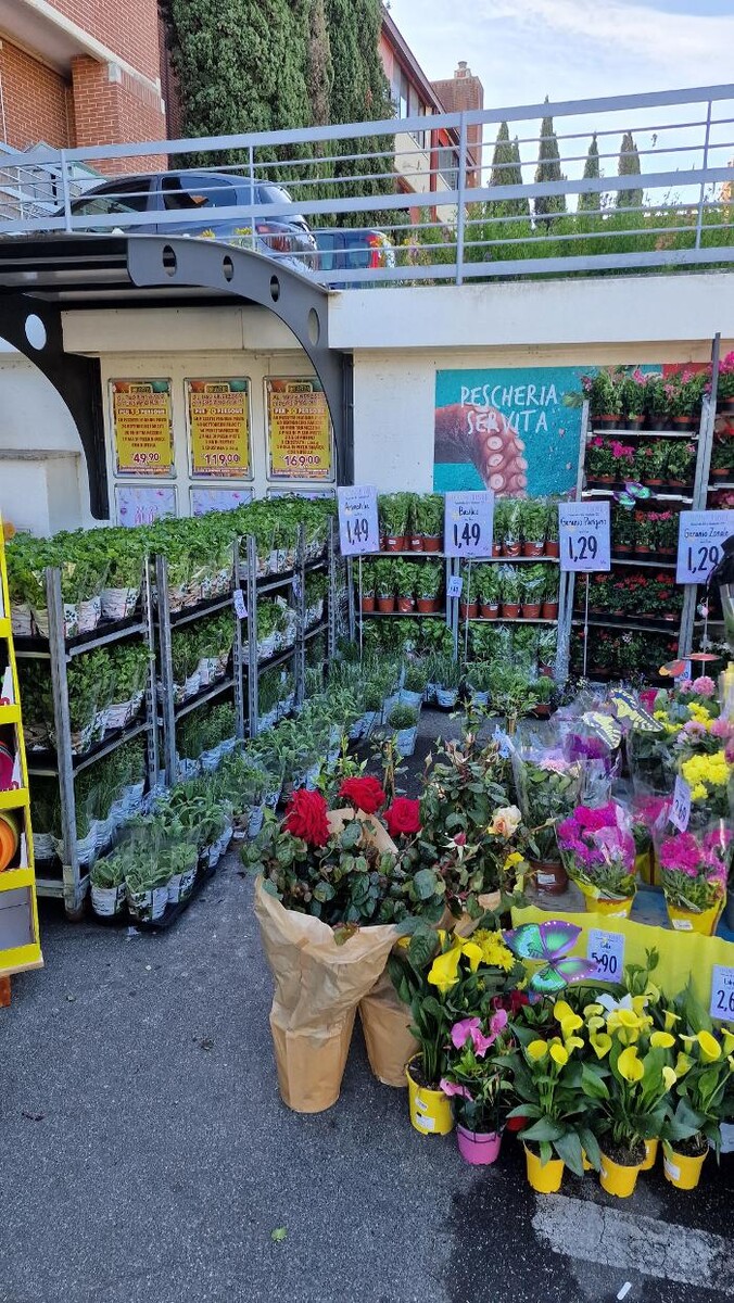 Images Todis - Supermercato (Roma- Via Emilio Teza)