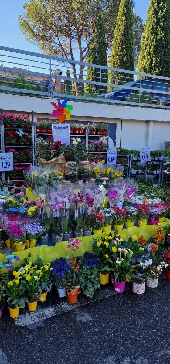 Images Todis - Supermercato (Roma- Via Emilio Teza)