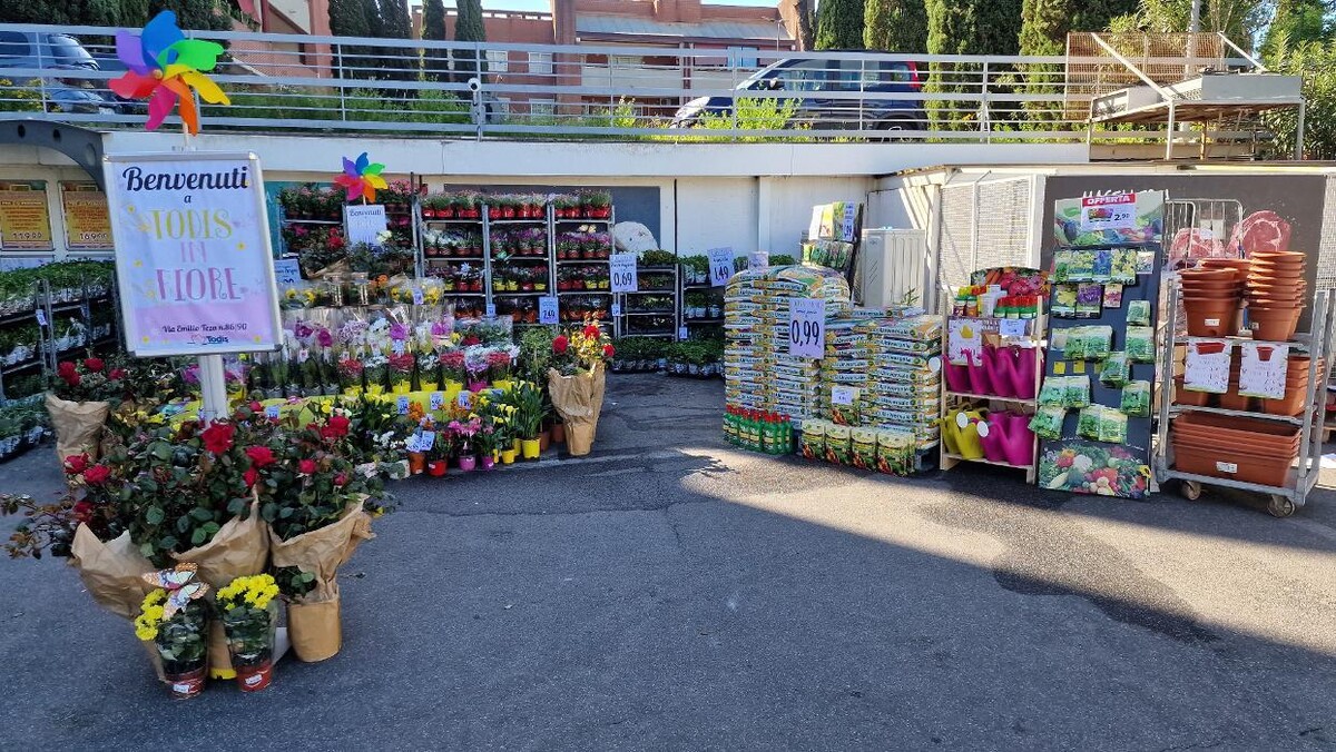 Images Todis - Supermercato (Roma- Via Emilio Teza)