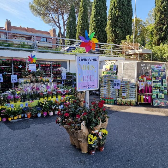Images Todis - Supermercato (Roma- Via Emilio Teza)