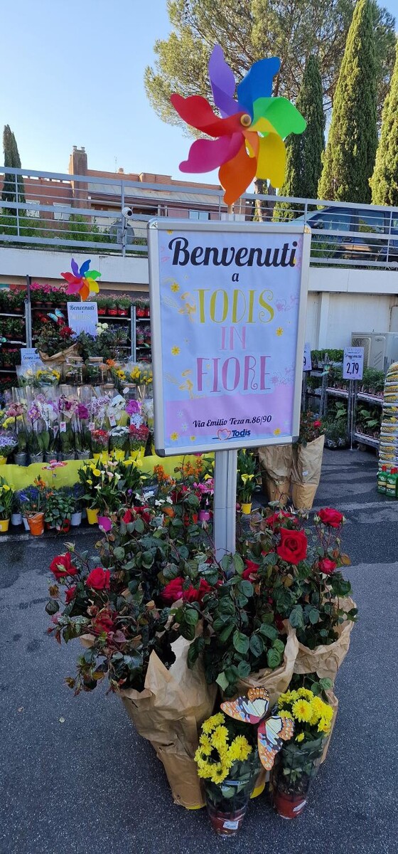 Images Todis - Supermercato (Roma- Via Emilio Teza)