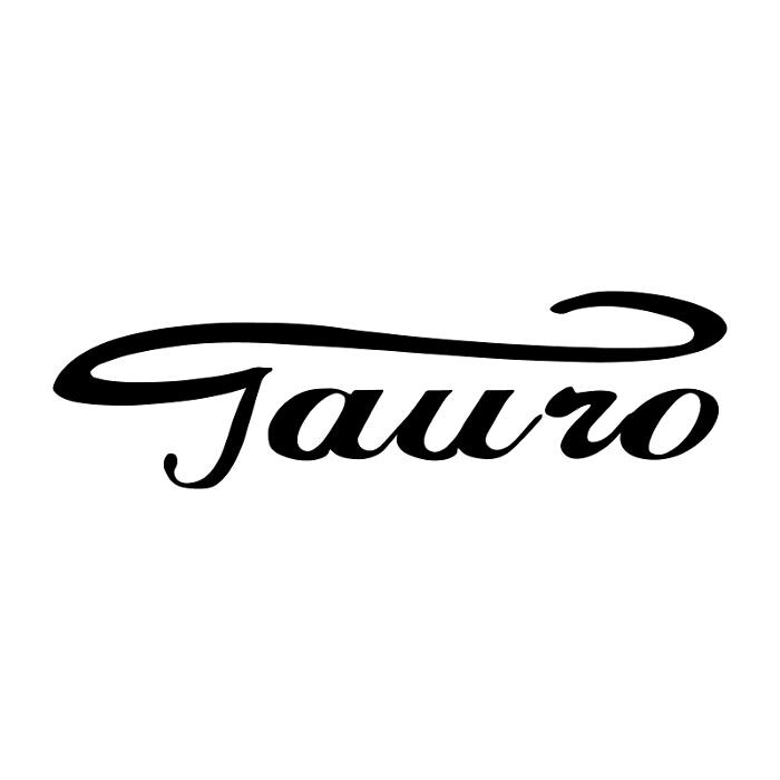 Tauro Service srl Logo