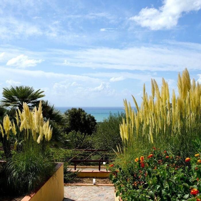 Images Residence Trivento - residence e villaggio a Palinuro per famiglie