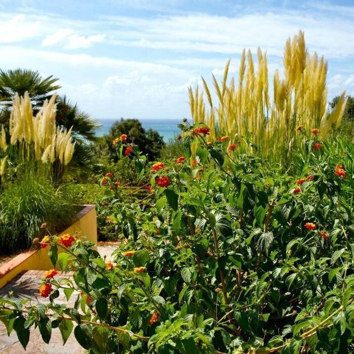 Images Residence Trivento - residence e villaggio a Palinuro per famiglie