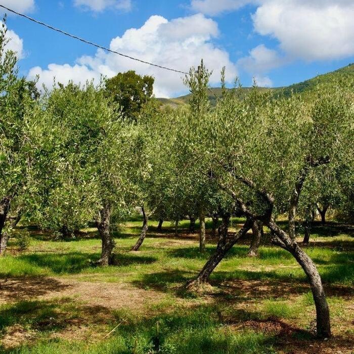 Images Residence Trivento - residence e villaggio a Palinuro per famiglie