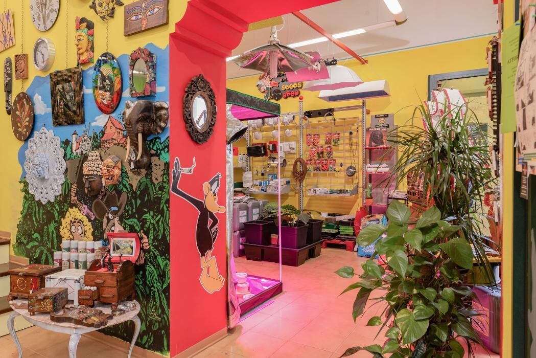 Images Black Duck Bazaar