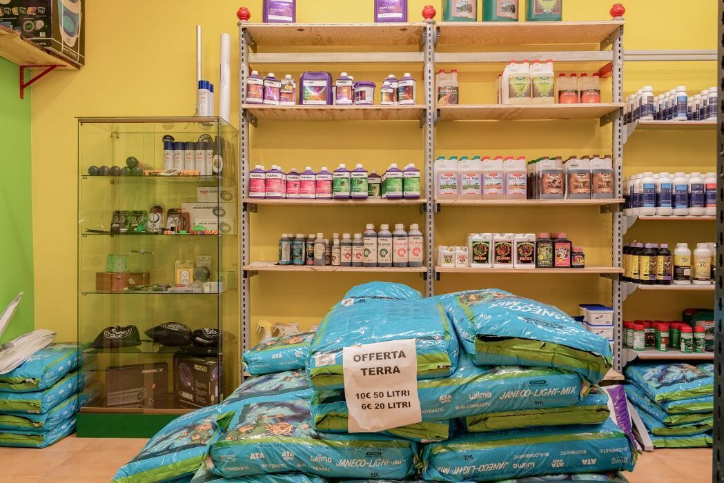 Images Black Duck Bazaar