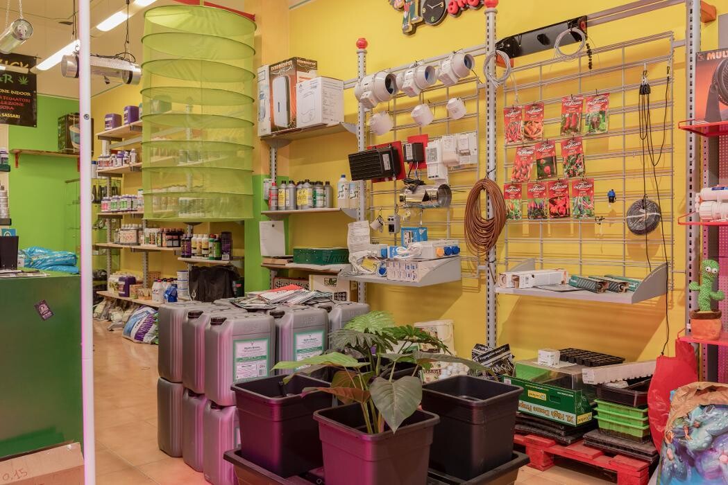 Images Black Duck Bazaar