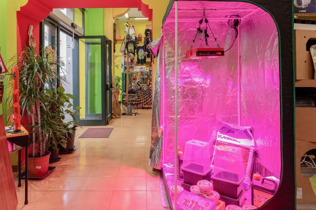 Images Black Duck Bazaar