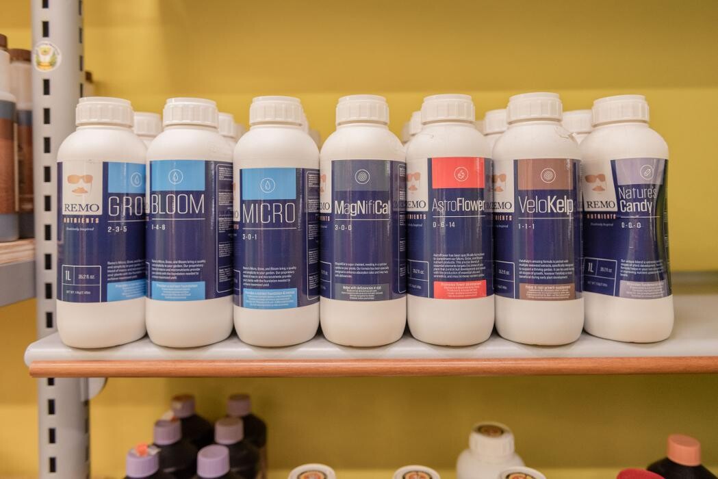 Images Black Duck Bazaar