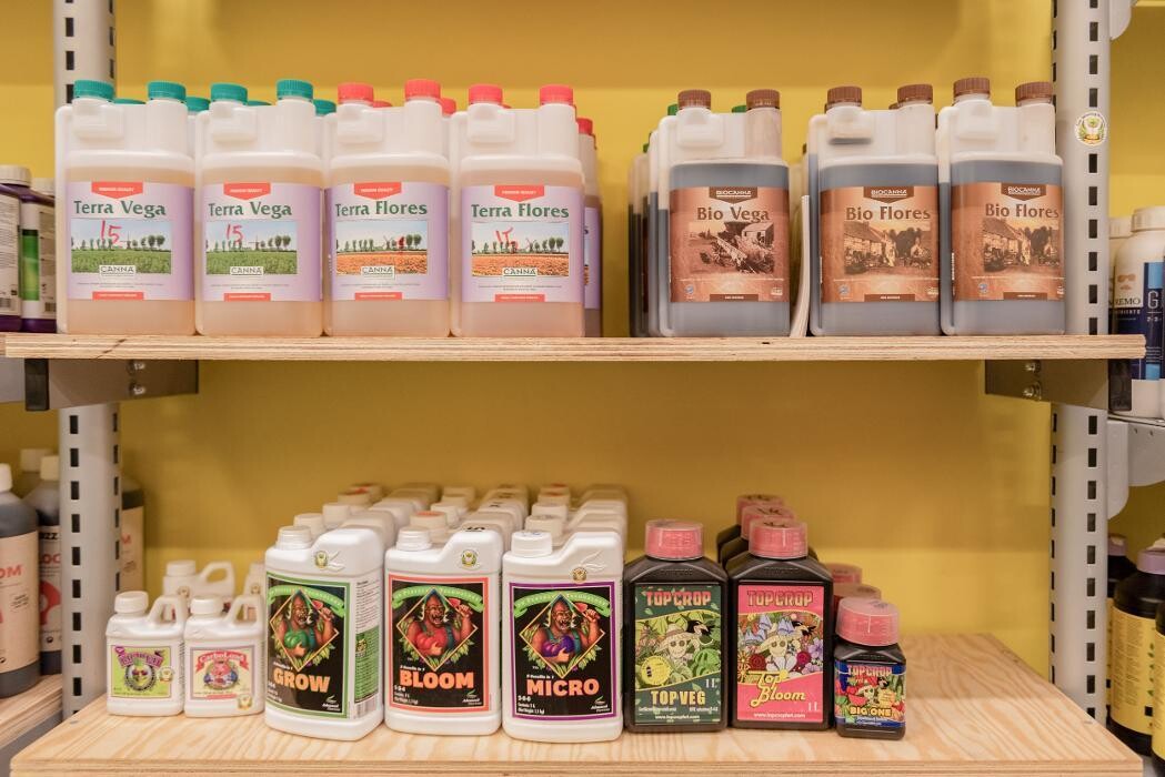 Images Black Duck Bazaar