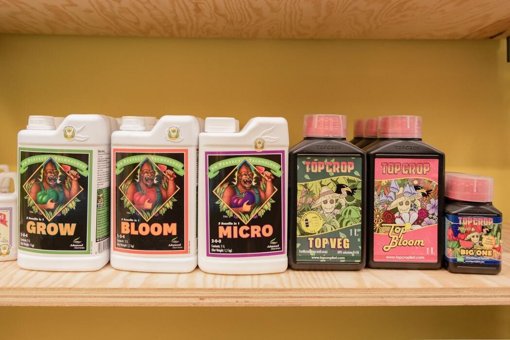 Images Black Duck Bazaar