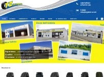 Website Screenshot T.Z. Gomme Euromaster