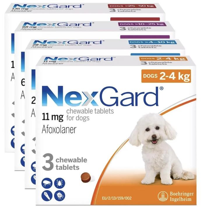 Images Farmacia Veterinaria Rao Farmaceutici