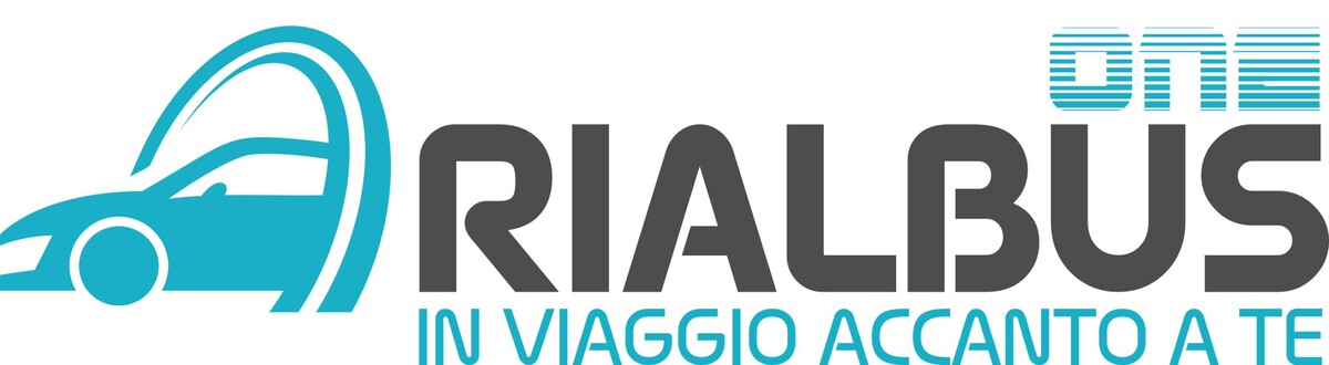 Images Rialbus One | Ncc Noleggio con conducente - Transfer Aeroporto di Brindisi-Salento - Taxi - Noleggio auto - Autista privato