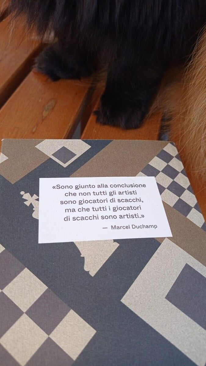 Images Circolo Scacchi San Vito