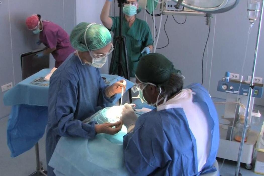 Images Dott. Carlo Alberto Pallaoro - Chirurgo estetico