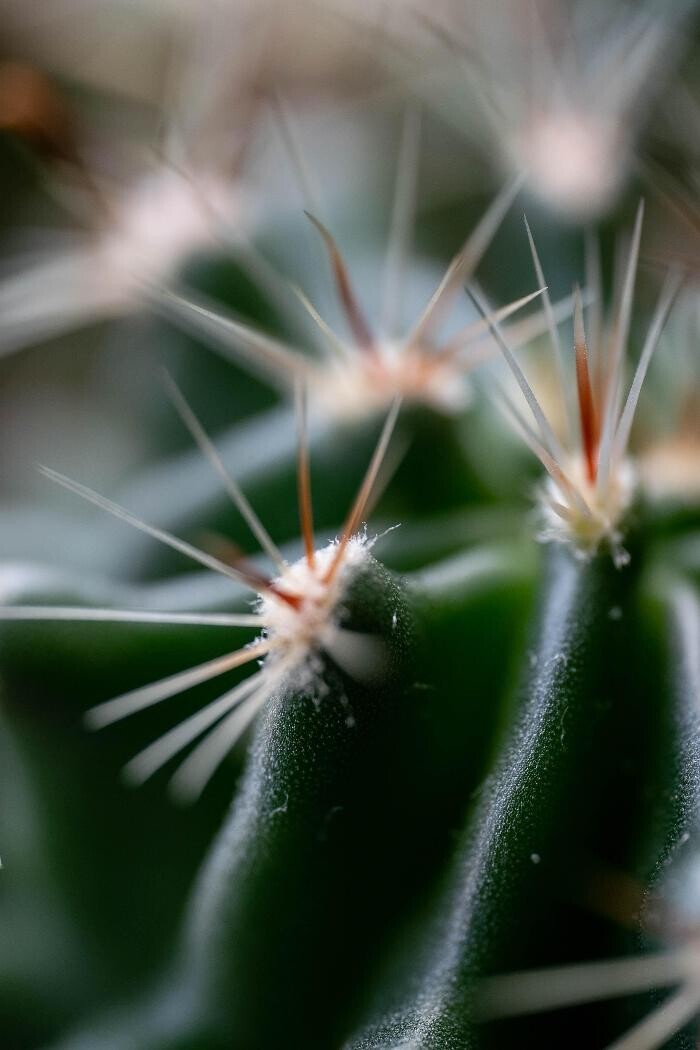 Images Matò - Marketing Concreto