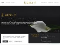 Website Screenshot GESA S.r.l. - S. Eugenio