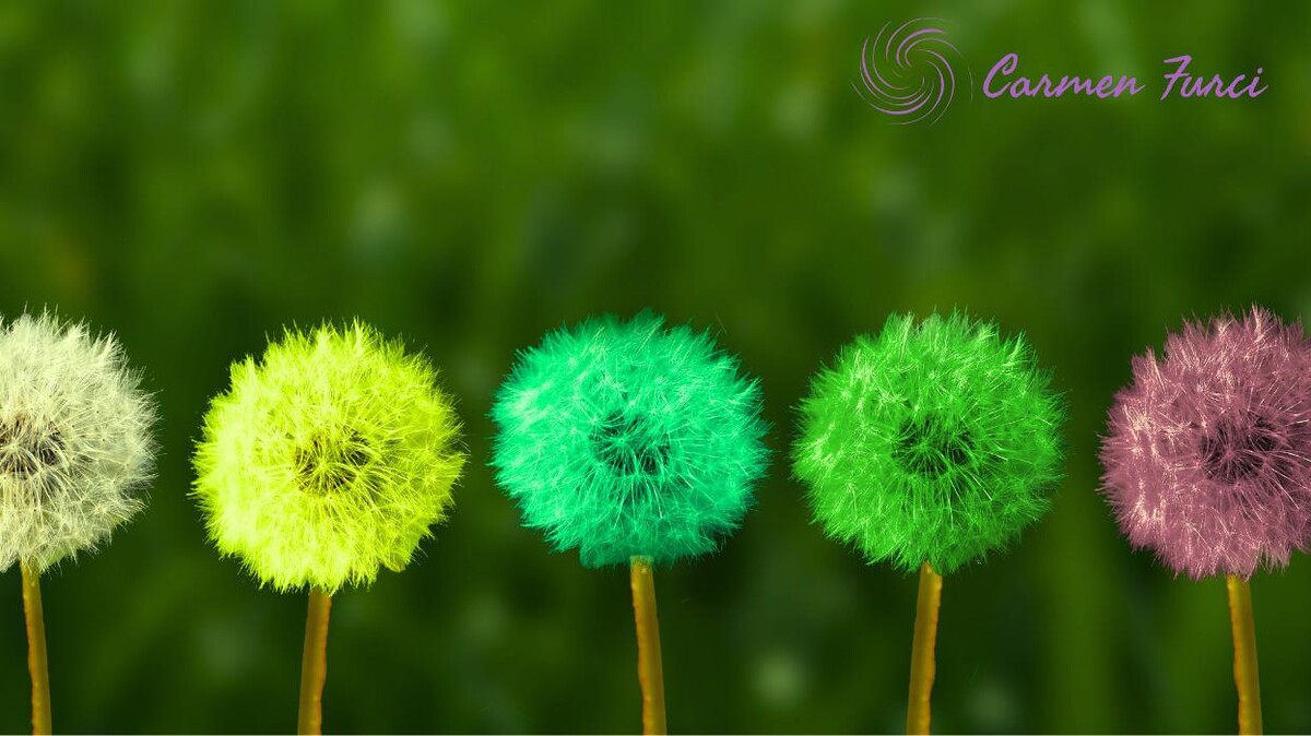 Images Carmen Furci Psicologa