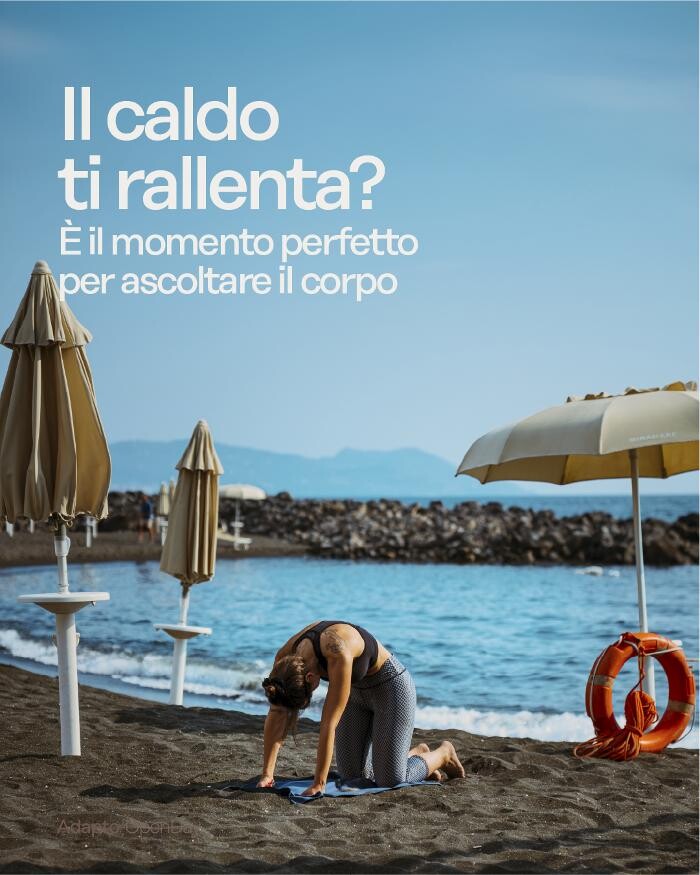 Images Adapto Studio