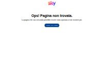 Website Screenshot Negozio Sky Service | Wi Fi Marche SRL