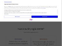 Website Screenshot Negozio Sky Service | Leli Luigina