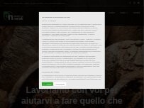 Website Screenshot Assistenza Natali srlsu