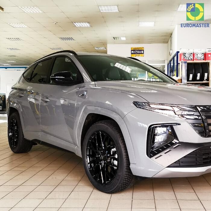 Images Euromaster Elvis Gomme