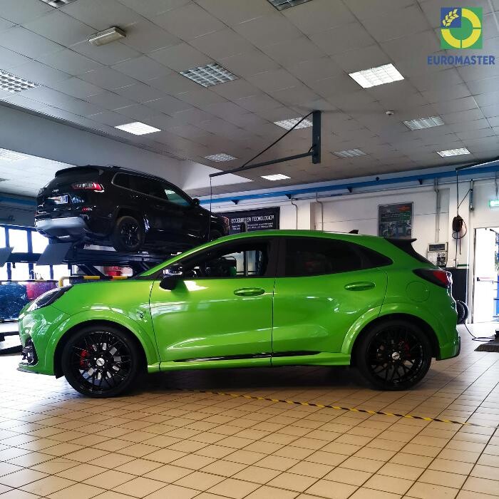 Images Euromaster Elvis Gomme