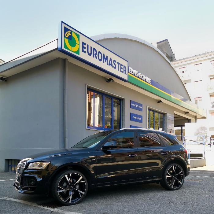 Images Euromaster Elvis Gomme