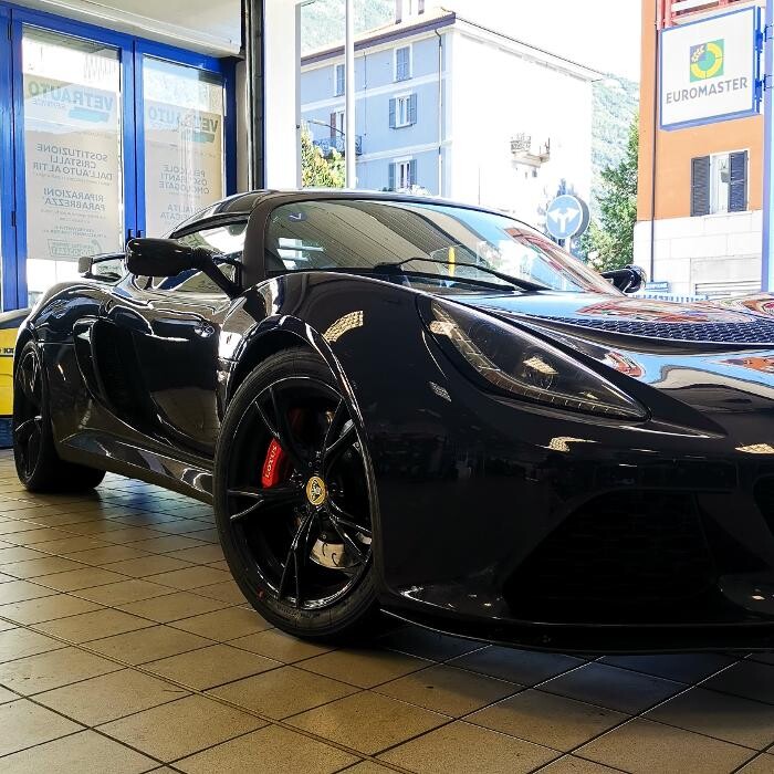 Images Euromaster Elvis Gomme