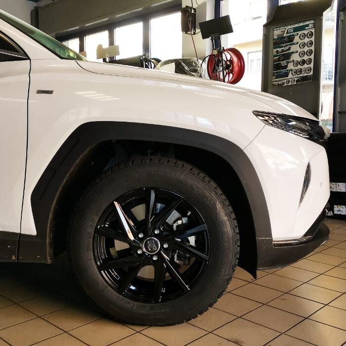 Images Euromaster Elvis Gomme