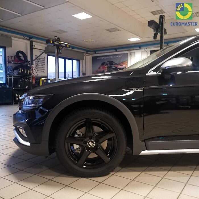 Images Euromaster Elvis Gomme