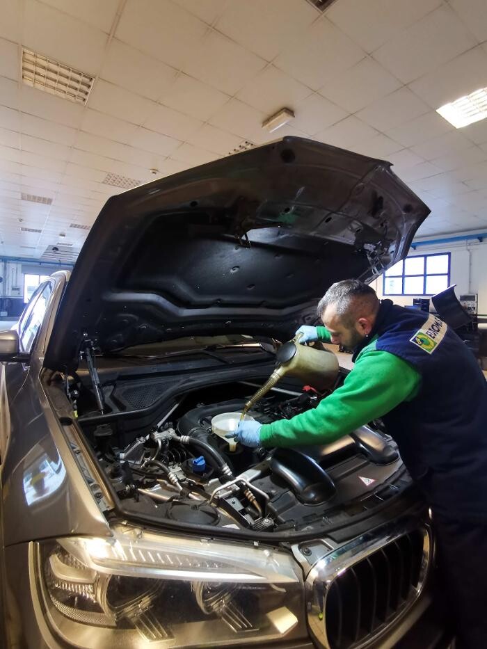 Images Euromaster Elvis Gomme