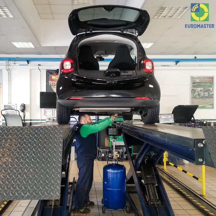 Images Euromaster Elvis Gomme