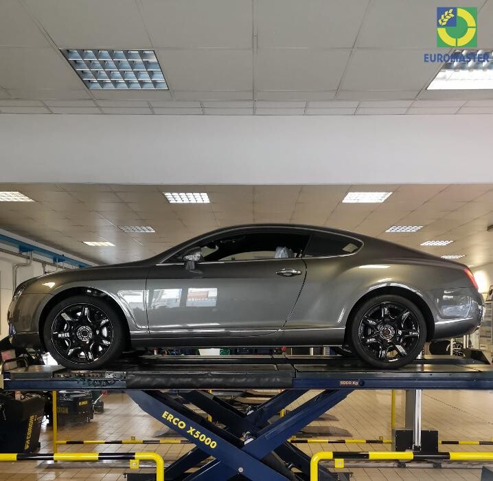 Images Euromaster Elvis Gomme