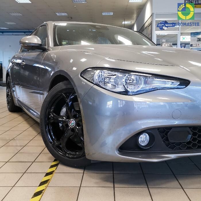 Images Euromaster Elvis Gomme