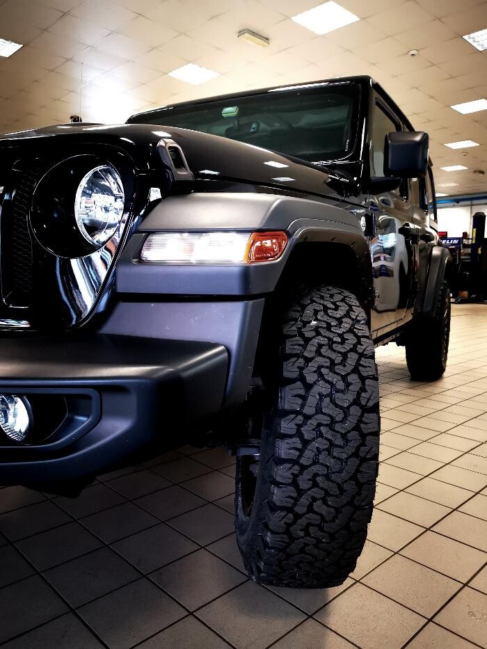 Images Euromaster Elvis Gomme