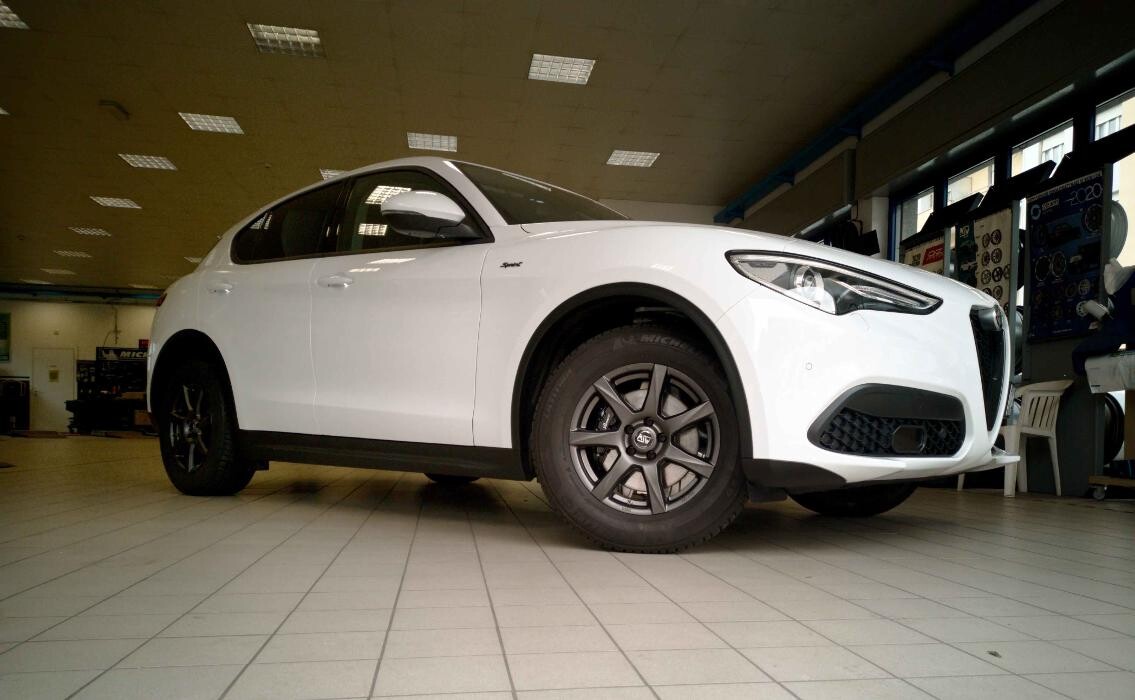 Images Euromaster Elvis Gomme