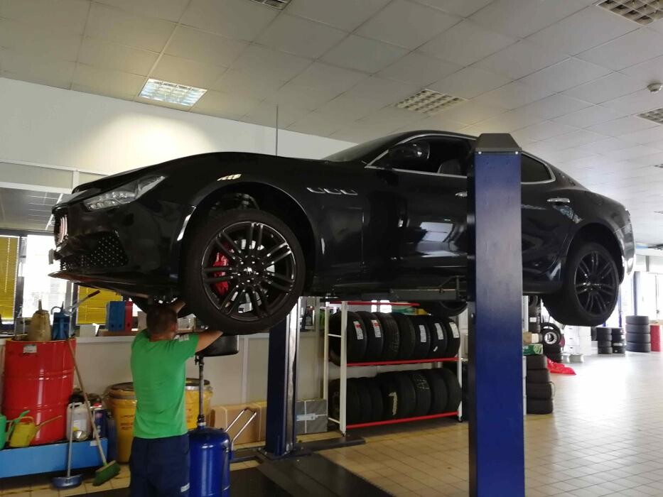 Images Euromaster Elvis Gomme