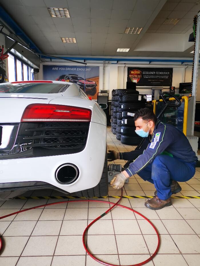 Images Euromaster Elvis Gomme